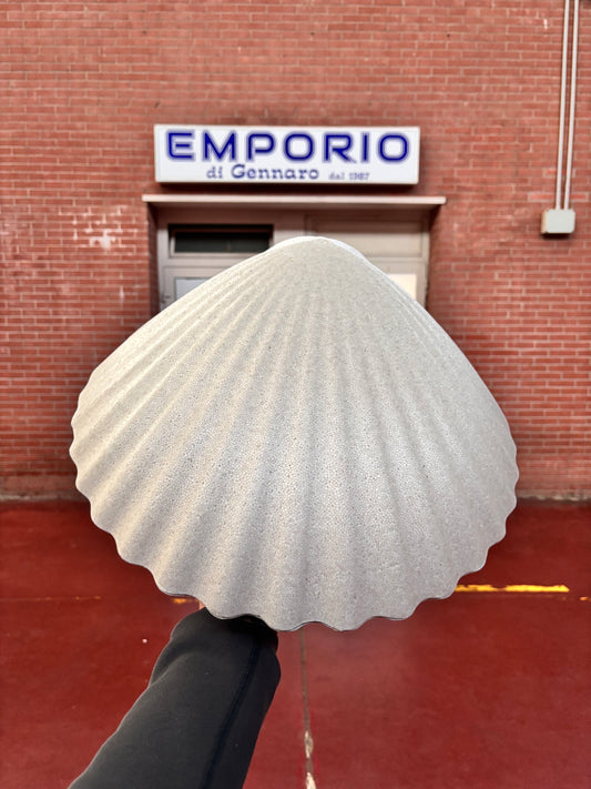 Conchiglia con coperchio