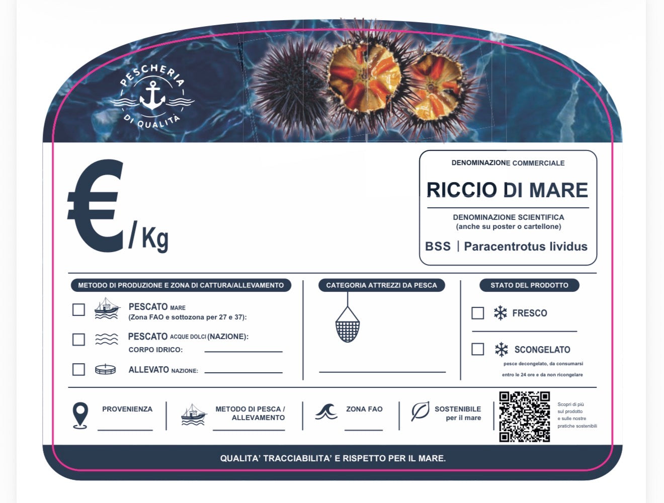 Cartellino riccio di mare con qr code