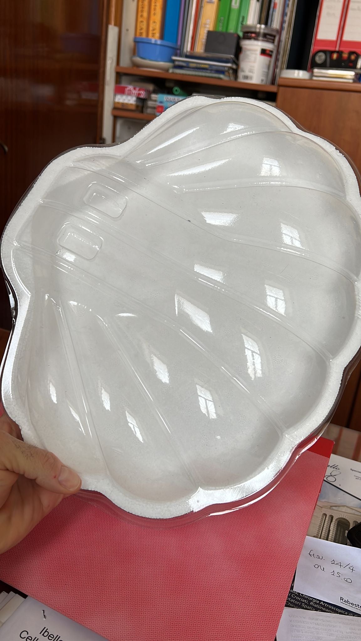 Conchiglia compreso di busta per confezionarla