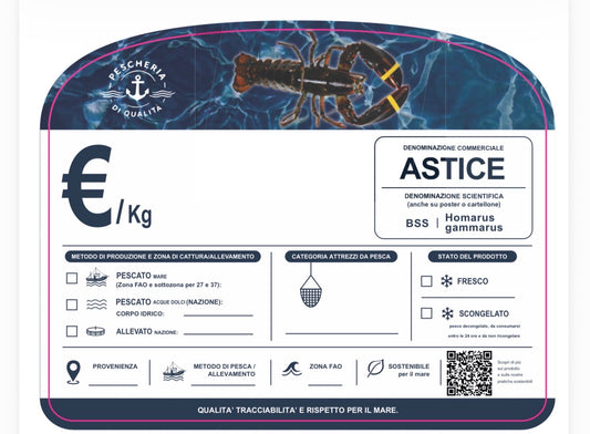 CARTELLINO ASTICE CON QR CODE