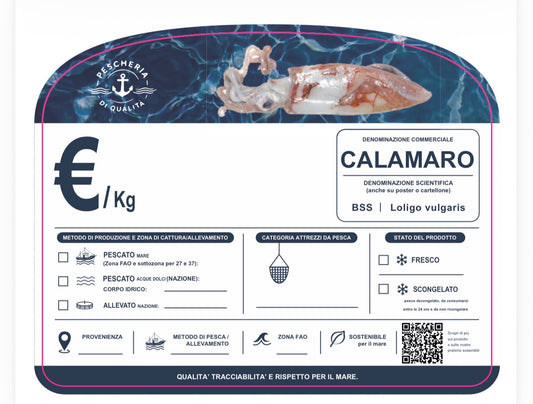Cartellino calamaro con QR CODE
