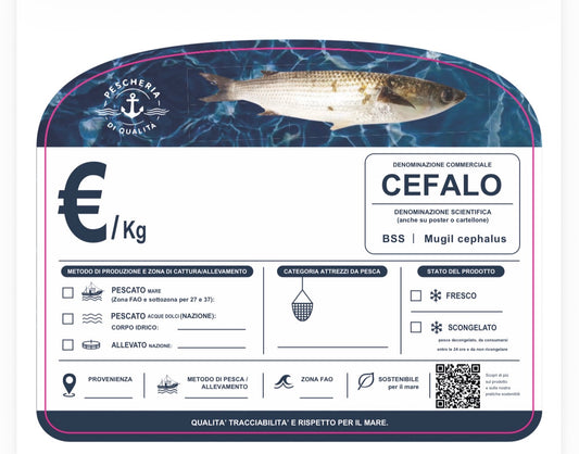 Cartellino cefalo con qr code