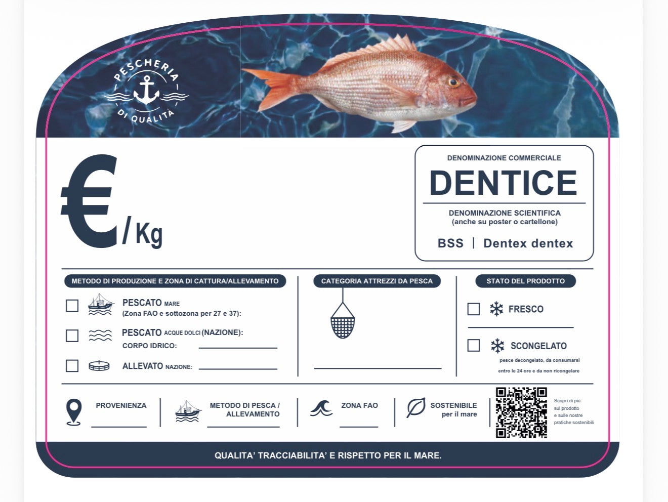 Cartellino dentice con qr code