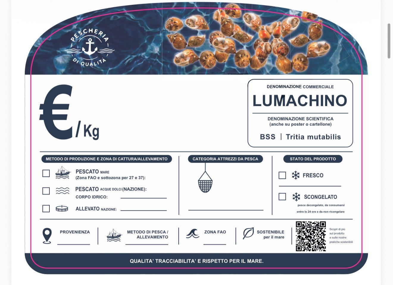 Cartellino lumachino con qr code