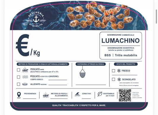 Cartellino lumachino con qr code